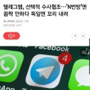 우리는 "어렵다"했는데..'텔레그램 접촉' 성공한 나라들, 어떻게?(23.06.16) 이미지