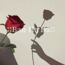 머리에반하다 이미지