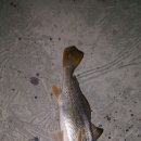 고금6호 이미지