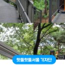 영축산순환산책로(유아숲) 이미지