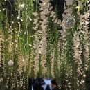 독립문역 3번출구 | 서울 종로 독립문역 스누피와 트리가 가득해서 데이트 코스로 좋은 제이단트리 크리스마스 팝업 주말 후기