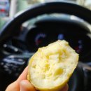 개흥상회