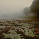 좋은날에 이미지