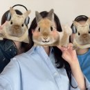 윈느뷰티살롱
