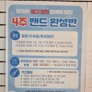 광명소리엘음악학원 | 광명 철산 팔레트실용음악학원 베이스 레슨 후기🎸