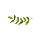 천마약국 이미지