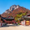 산엔청로 이미지