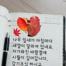 굿 모 닝 Daum카페