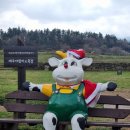 아담목장 이미지