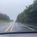 기린 캠프랜드 이미지