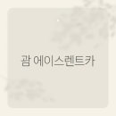 안전카서비스 | 괌 에이스렌트카, 여행자들을 위한 렌터카 서비스 이용 후기