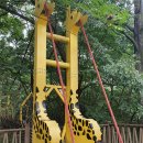 앞산고산골 유아숲체험원 이미지