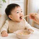 우리중기 - 2331 | 이유식 적정량 총정리(초기, 중기, 후기): 우리 아이는 얼마나 먹어야 할까요?
