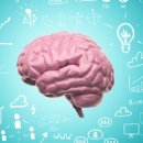 보정초등학교 이미지