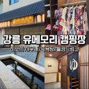 호박사우나 | 겨울이 기다려지는 캠핑장 ｜히노끼 사우나, 족욕탕, 조식｜ 강릉 유메모리 솔직 후기 (산멍존 3번)