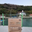 두나펫 코리아 이미지