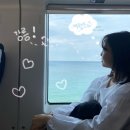 기차 타고🚅 다녀온 강릉 2박 3일 여행 1일차 (강릉중앙시장 맛집, 감자유원지,버드나무브루어리,또간집...
