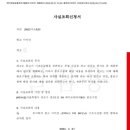 비디엘브이