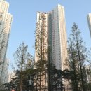 더샵그린공인중개사사무소 이미지