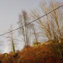 한인모터스 이미지