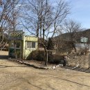 사계절목장 | 양평 아이랑 가볼만 한 곳 사계절 테마가 바뀌는 양평양떼목장 (평일 아이랑 방문 후기+소요시간)