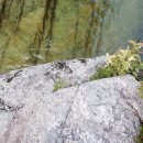 국화향기펜션 이미지