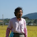 황금들녁 이미지