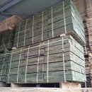 황토와소나무 이미지