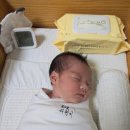 허니 PC | [제품 리뷰] 도툼한물티슈 추천! 허니엘로우로 만나는 프리미엄물티슈 리얼 후기