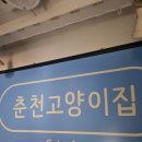 춘천 고양이집 이미지