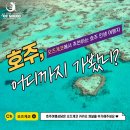 오즈플랜 | 호주 자유 여행 vs 패키지? 오즈게코 현지인 후기 + 투어 액티비티 티켓 예약팁