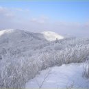 ♣2/20(토)노인봉과 오대산 비로봉 2산과 또는 오대산 종주 눈꽃산행 이미지