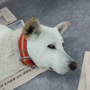 복희공인중개사사무소 이미지