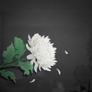 경기일보안양지사