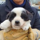 화상천로 이미지