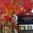 너른마당1