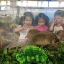 아침해유치원 이미지