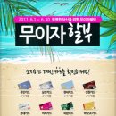 ＜묶음 가능＞ CAR WEB SULER (방음 인슐레이터) 고기능성 방음 흡음제 (문짝/본넷/트렁크 구성) - 카드결제 가능- 이미지