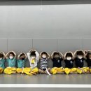 북항비룡태권도장 이미지