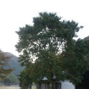 신화캠핑 이미지