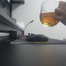 광동디자인인쇄 | 광동 유기농 옥수수수염차 후기 청첩장 준비하면서 마시기 좋은 차음료 추천(ZERO칼로리 ZERO카페인...