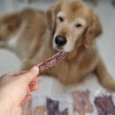 도기머기 이미지