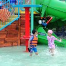 월드 합기도 이미지