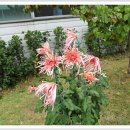 군자중학교 이미지