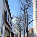 천지카센타 이미지