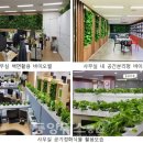 그린&힐링