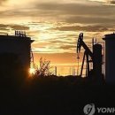 제주케어메디칼 이미지