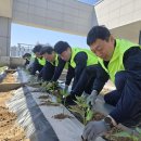 하늘농장 이미지