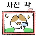 스테이새마을