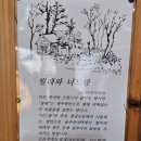 웰빙만나식당 | 제주 숨은 맛집, 자연과 함께하는 한 끼 빌레와 너드랑 웰빙정식 후기